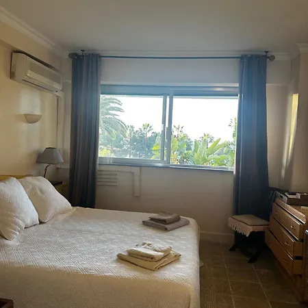 Avec Piscine A La Mirandole *