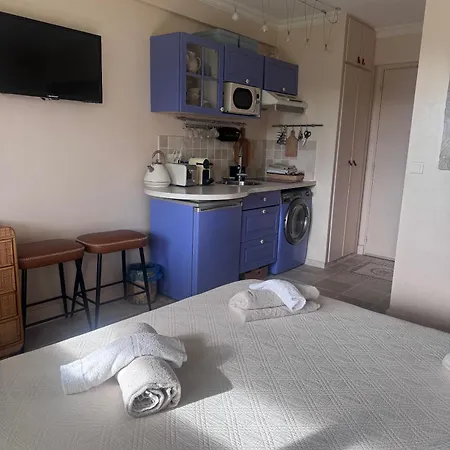 Avec Piscine A La Mirandole Vallauris